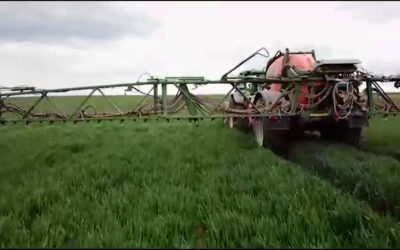 EU will Einsatz von Glyphosat reduzieren