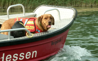 Vermisstensuche auf dem Wasser