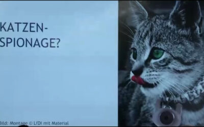 Kuriose Fälle beim Datenschutz