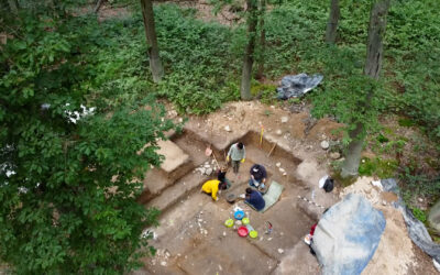 Archäologen entdecken Steinzeit-Siedlung im Taunus