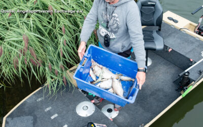 Großeinsatz nach Fischsterben im Werratalsee