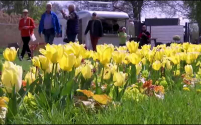 Bilanz der Landesgartenschau