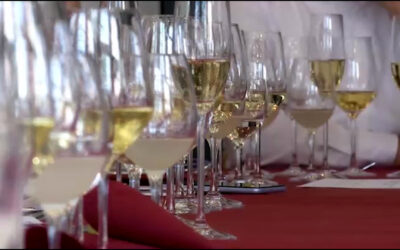 Wie wird der Weinjahrgang 2023?