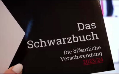 Schwarzbuch prangert Steuersünden an