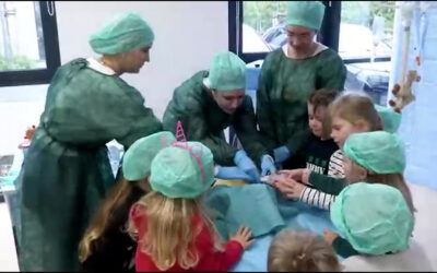 Die Teddyklinik öffnet wieder