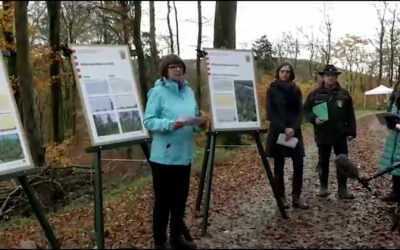 Waldzustandsbericht vorgestellt