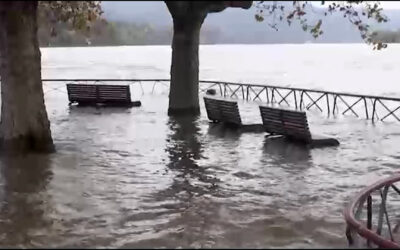 Weiter Hochwasser an Rhein und Mosel