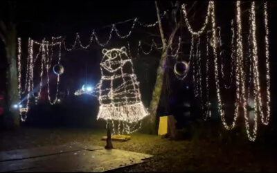 Christmas Lights in Bad König