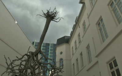 Jüdisches Museum Frankfurt blickt auf das Jahr 2024