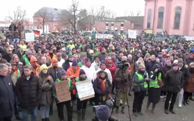 Bauernprotest in Mainz