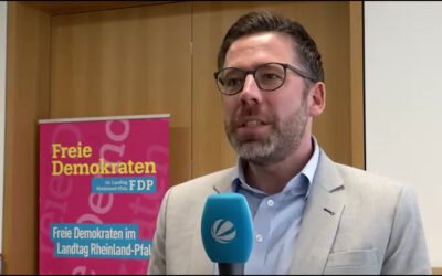 FDP präsentiert Wirtschaftspapier