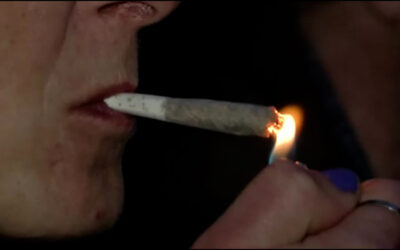 Cannabis-Legalisierung in Kraft