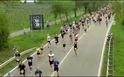 Marathon Deutsche Weinstraße