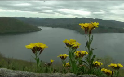 20 Jahre Nationalpark Kellerwald-Edersee