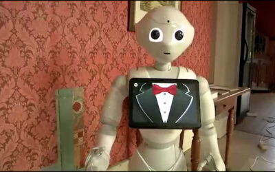 Roboter „Pepper“ führt durchs Sinziger Schloss