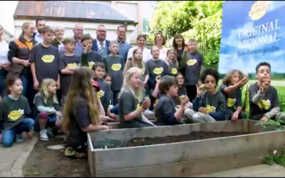 Kids an die Knolle