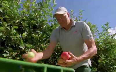 Obstbauern ärgern sich über Artenschutz-Bestimmungen