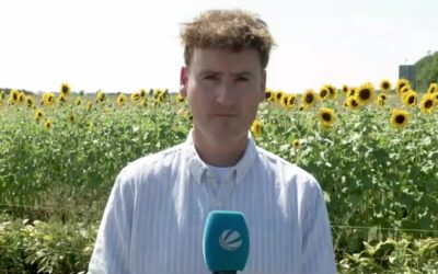 Meteorologe Dominik Jung zum Hitzesommer