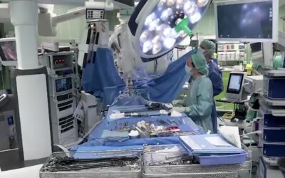 Skorpiongift gegen Krankenhauskeime