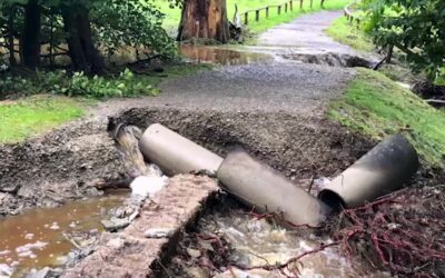 Aufräumen nach Unwetterschäden im Tierpark Sababurg