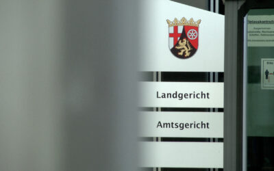 Mertin legt Strafverfolgungsstatistik vor