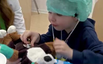 Teddyklinik hilft flauschigen Patienten