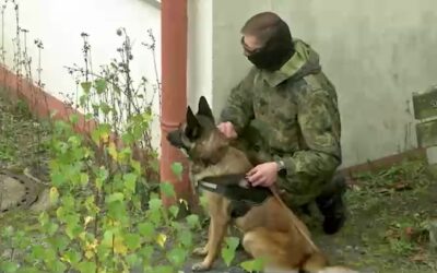 Bundeswehr schult Hunde für Ukraine-Einsatz