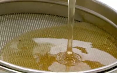 Gepanschter Honig in den Supermärkten?