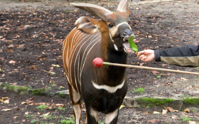Tiertrainerin im Frankfurter Zoo