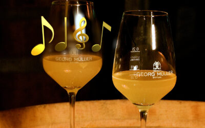 Wird Wein besser durch Musikbeschallung?