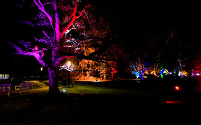 Faszinierende Lichtkunst: „Winterlichter“ im Frankfurter Palmengarten