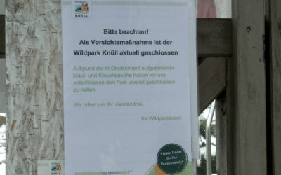 Sorge vor Ausbreitung der Maul- und Klauenseuche