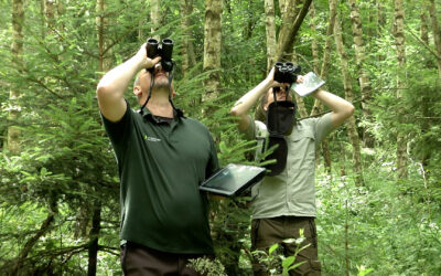 Waldzustandsbericht vorgestellt