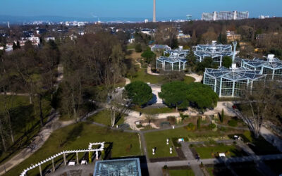 Palmengarten putzt sich raus für den Frühling