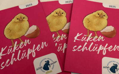 Im Naturhistorischen Museum schlüpfen die Küken