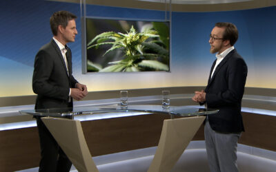 Ein Jahr neues Cannabis-Gesetz