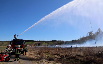 Aufmerksame Kinder verhindern Waldbrand