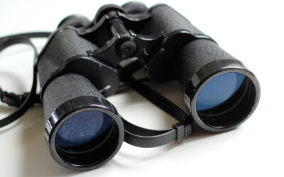 Detektiv spürt Blaumacher auf