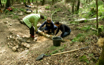Bergwaldprojekt im Soonwald