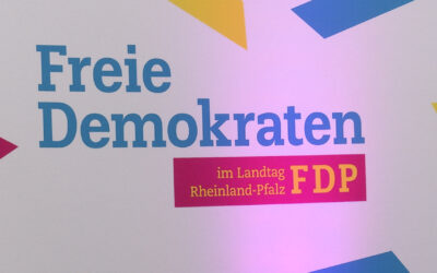 FDP diskutiert mit Wirtschaftsvertretern