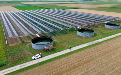 Landwirt darf Solaranlage nicht betreiben