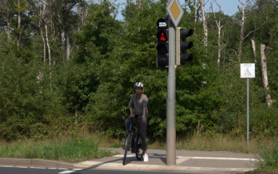 Grüne Welle für Radfahrer