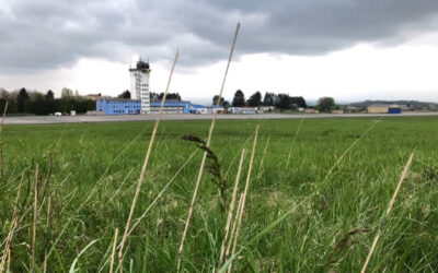 Verwaltungsgericht verhandelt über geplantes Logistikzentrum in Bitburg