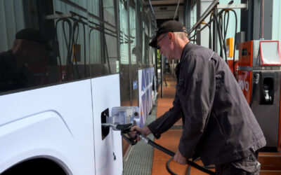 Busse fahren mit altem Fett