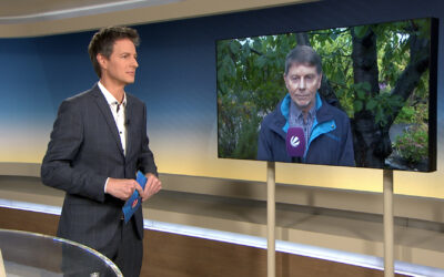 Wie wahrscheinlich ist ein Vulkanausbruch in der Eifel?