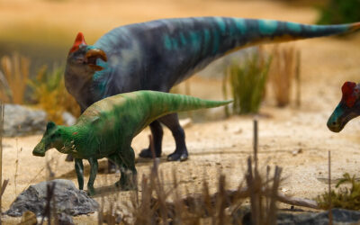 Dino-Ausstellung im Senckenberg Museum