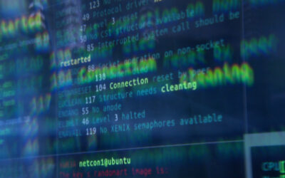 Ermittler heben Betrüger-Netzwerk aus
