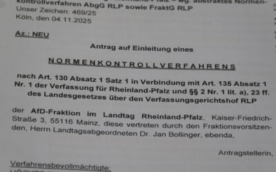 AfD klagt gegen neues Abgeordnetengesetz