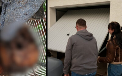 Familie findet Leiche beim Entrümpeln