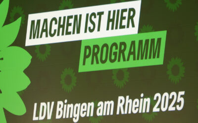 Grüne beschließen Wahlprogramm einstimmig